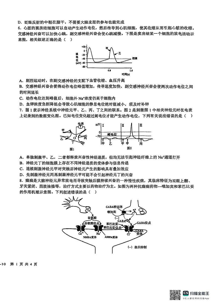 四川省成都市树德中学2025-2026学年高二上学期10月月考生物试题第2页