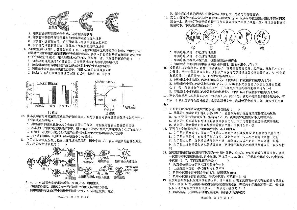 吉林省延边朝鲜族自治州延吉市延边第二中学2025-2026学年高三上学期10月月考生物试题第2页