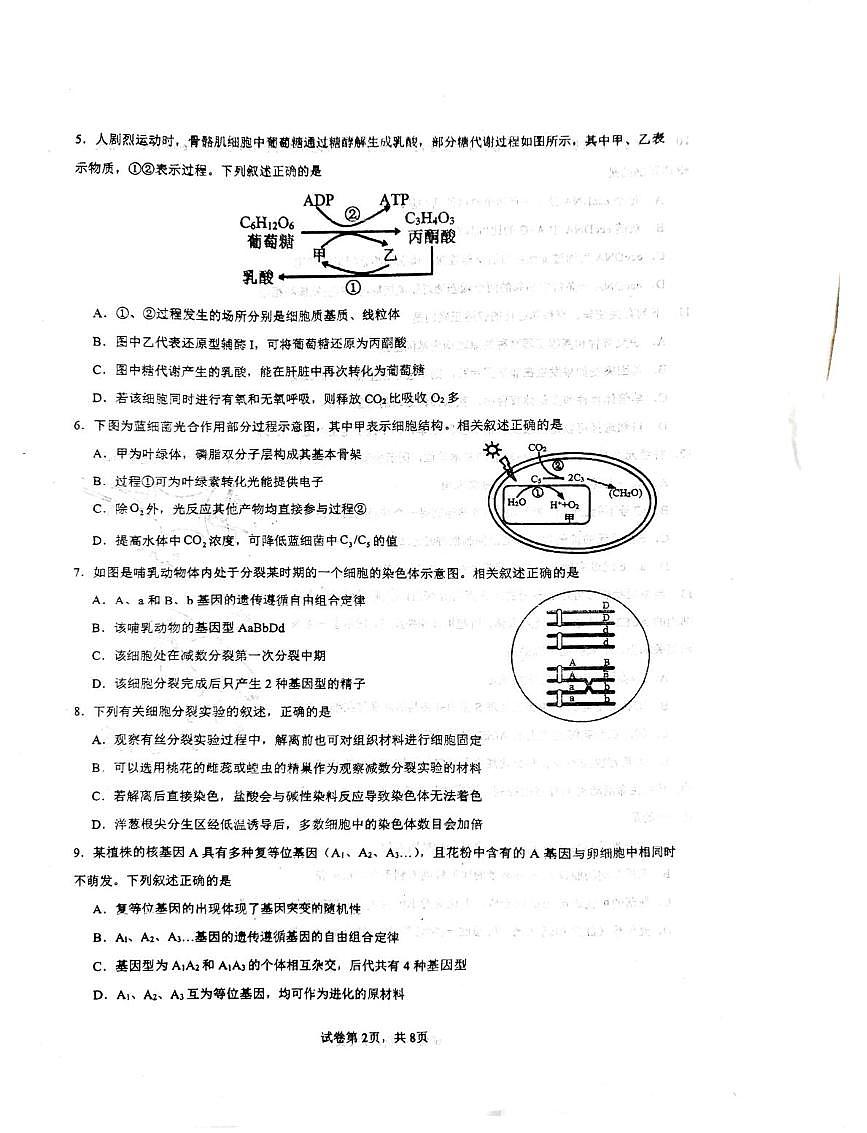 江苏省常州市金坛区第一中学2025-2026学年高三上学期10月月考生物试题第2页