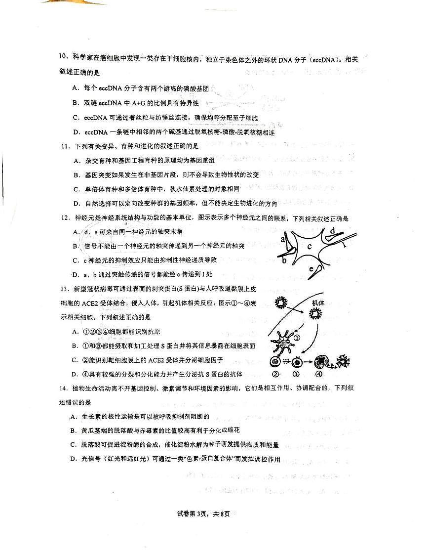 江苏省常州市金坛区第一中学2025-2026学年高三上学期10月月考生物试题第3页