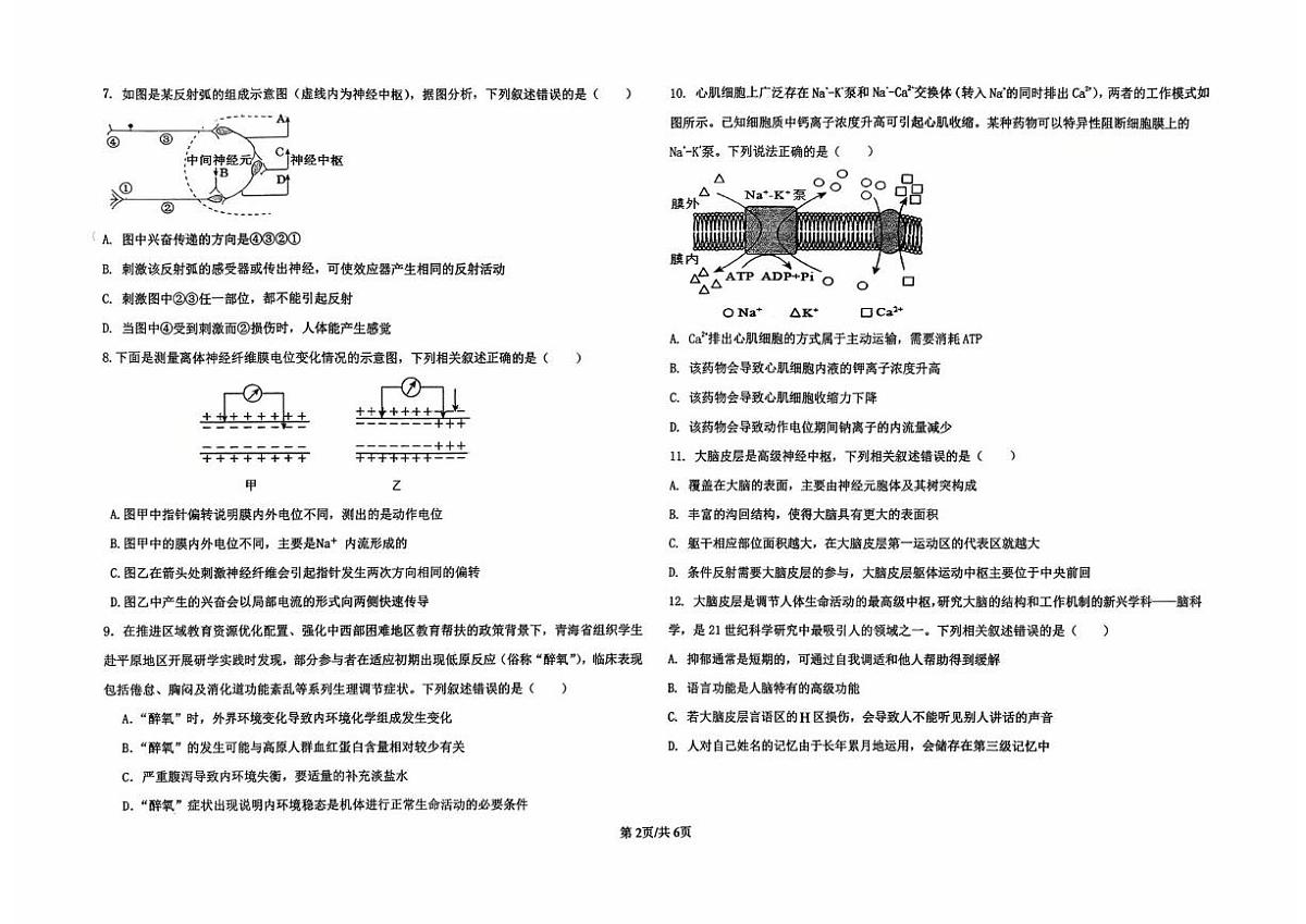 吉林省长春市汽车经济技术开发区第三中学2025-2026学年高二上学期10月月考生物试题第2页