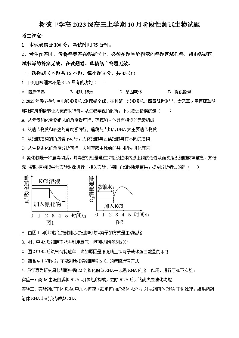 树德中学2025-2026学年高三上学期10月月考+生物第1页