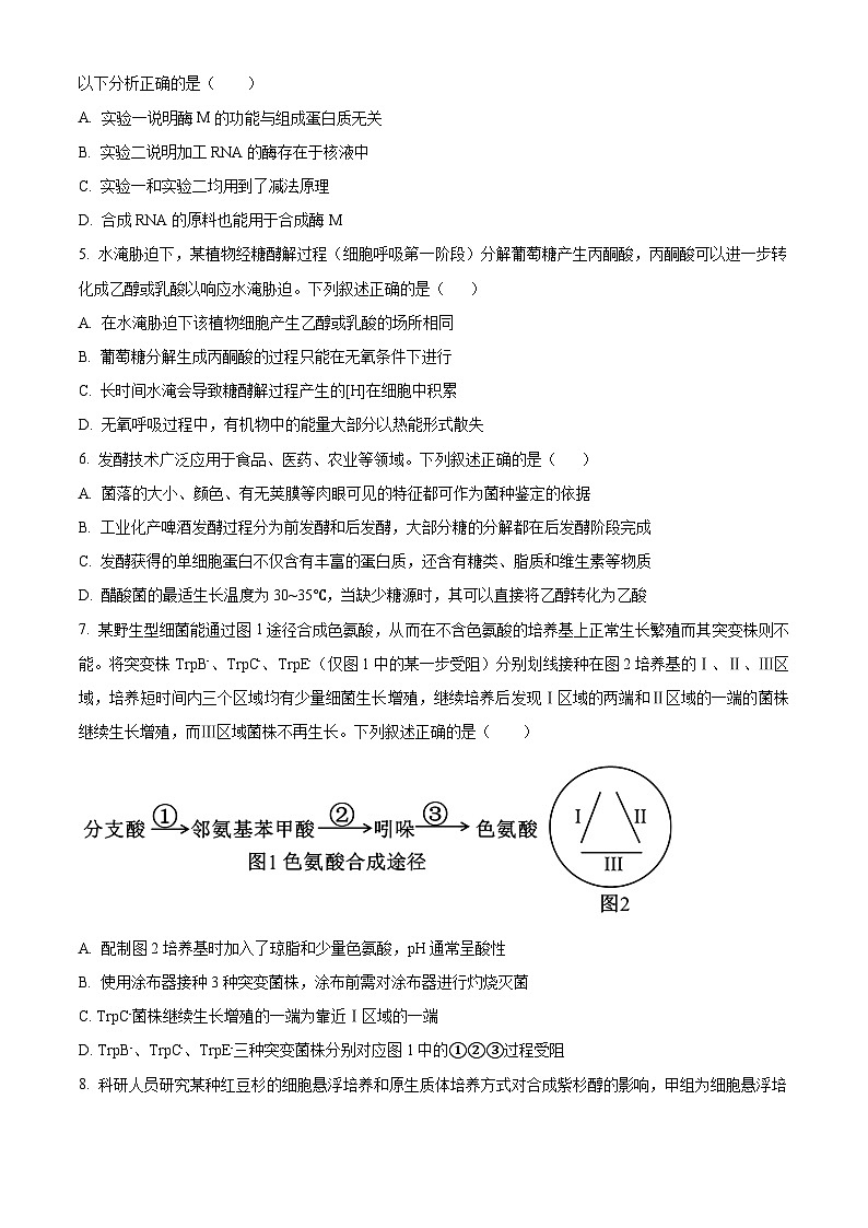 树德中学2025-2026学年高三上学期10月月考+生物第2页