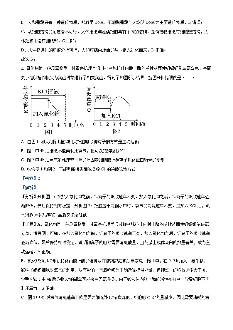 树德中学2025-2026学年高三上学期10月月考+生物答案第2页