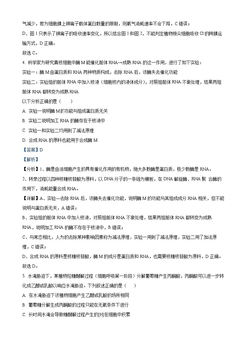树德中学2025-2026学年高三上学期10月月考+生物答案第3页