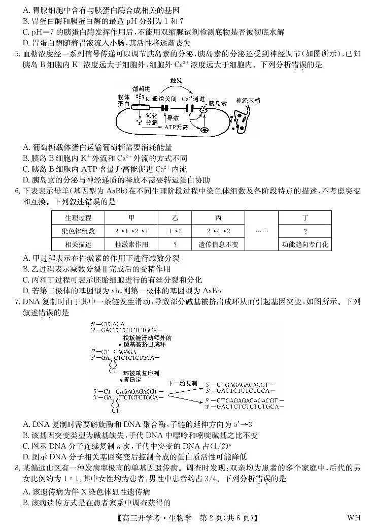 湖北省武汉市九师联盟2026届高三上学期8月开学考试生物试卷第2页