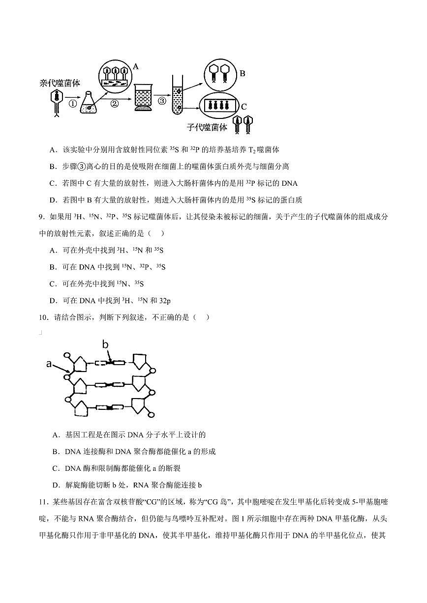 四川省绵阳市东辰学校2025-2026学年高二上学期开学分班检测生物试卷（含答案）第3页