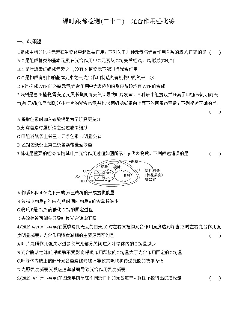 高一生物（人教版）必修一试题课时跟踪检测（二十三）光合作用强化练（Word版附解析）第1页