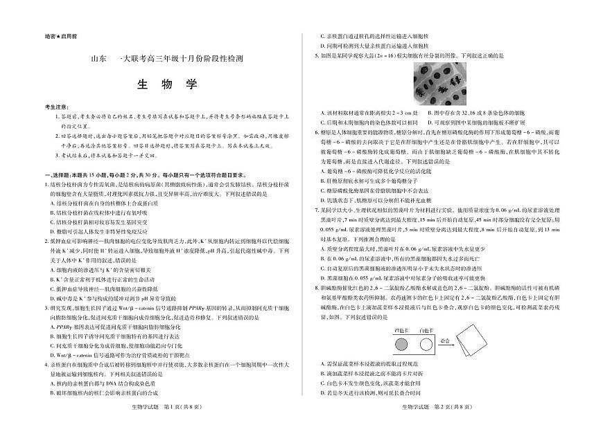生物山东高三年级十月份阶段性检测第1页