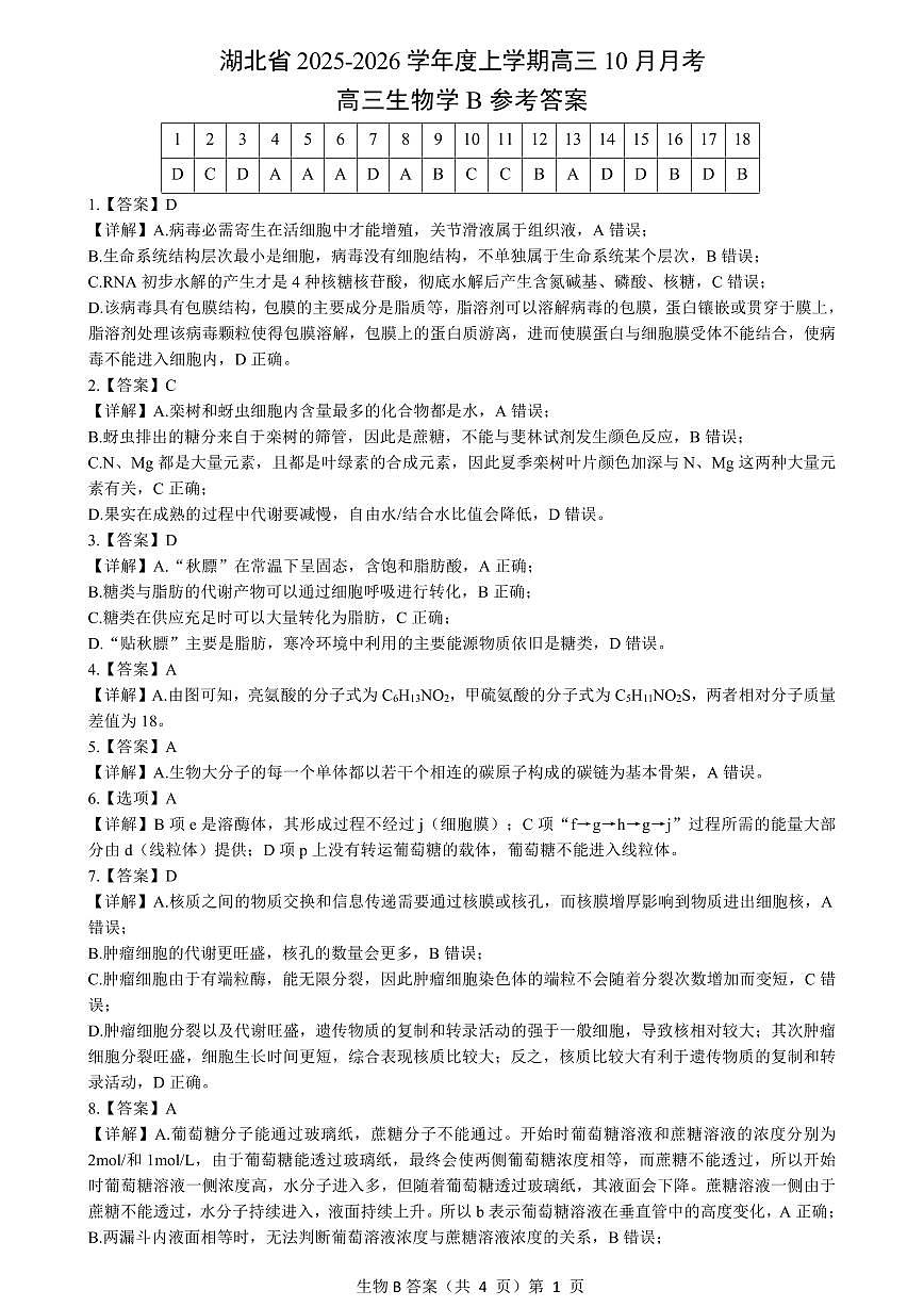 湖北省“新八校”协作体2025-2026学年度上学期高三10月月考生物答案第1页