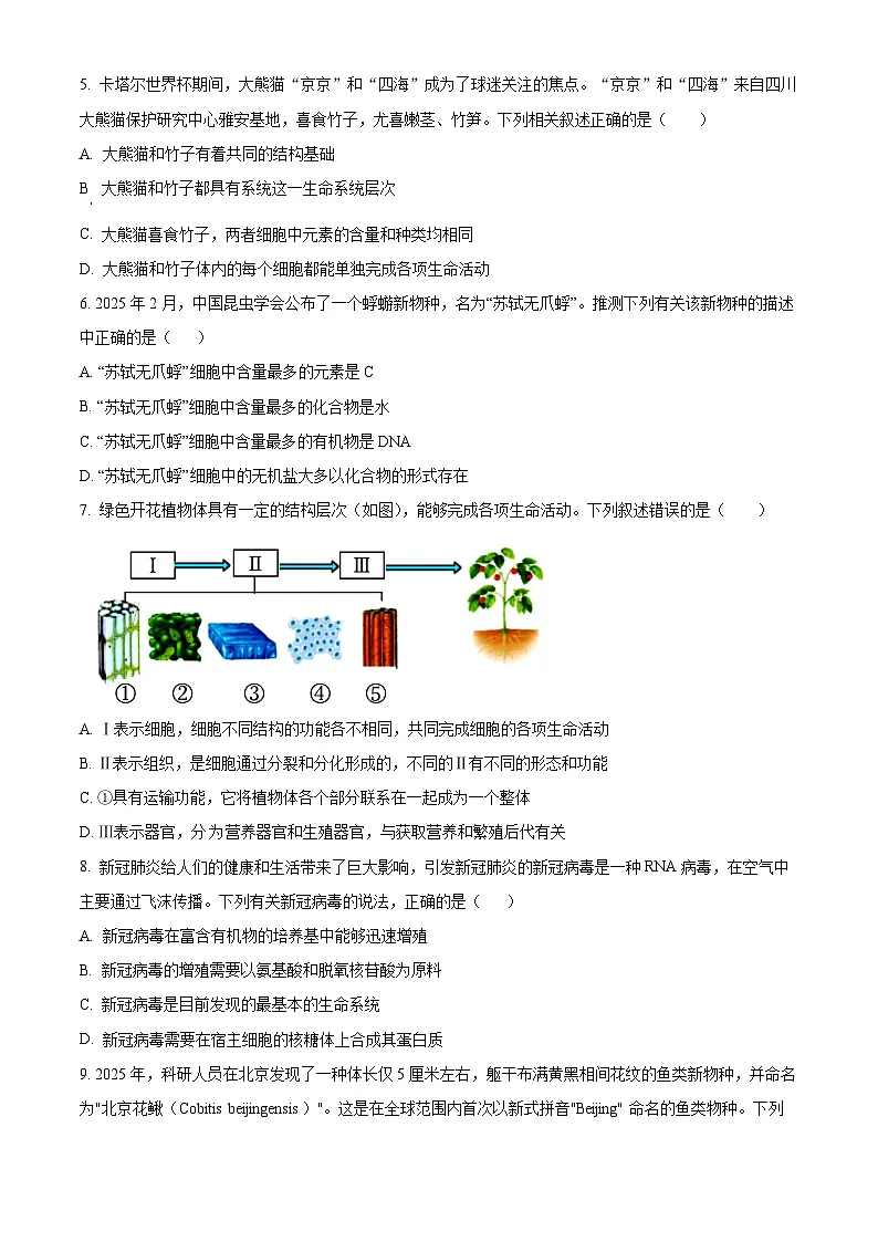 湖北省襄阳市第四中学2025-2026学年高一上学期九月月考生物试题 Word版无答案第2页