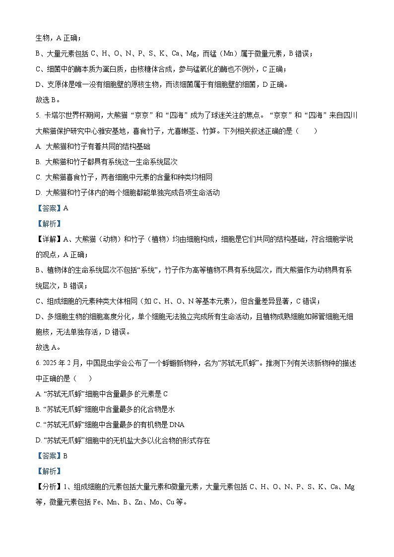湖北省襄阳市第四中学2025-2026学年高一上学期九月月考生物试题 Word版含解析第3页