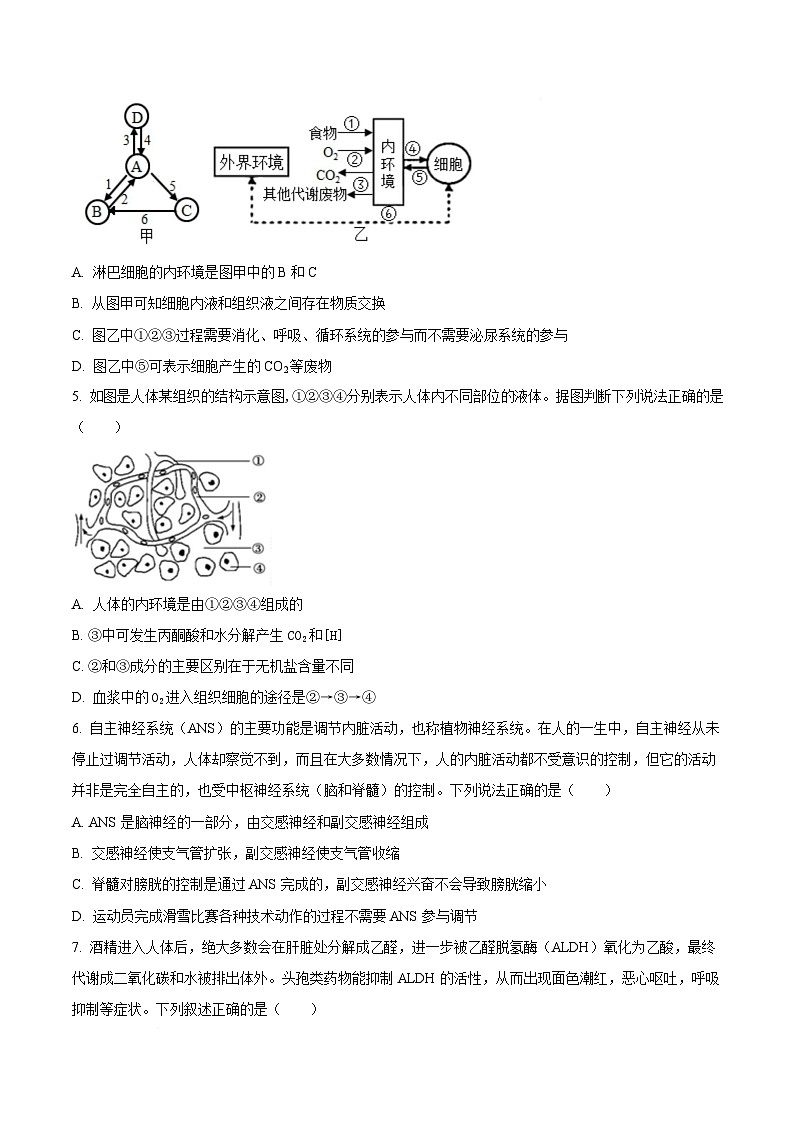 湖北省武汉市第二中学2025-2026学年高二上学期９月月考生物试卷  Word版无答案第3页