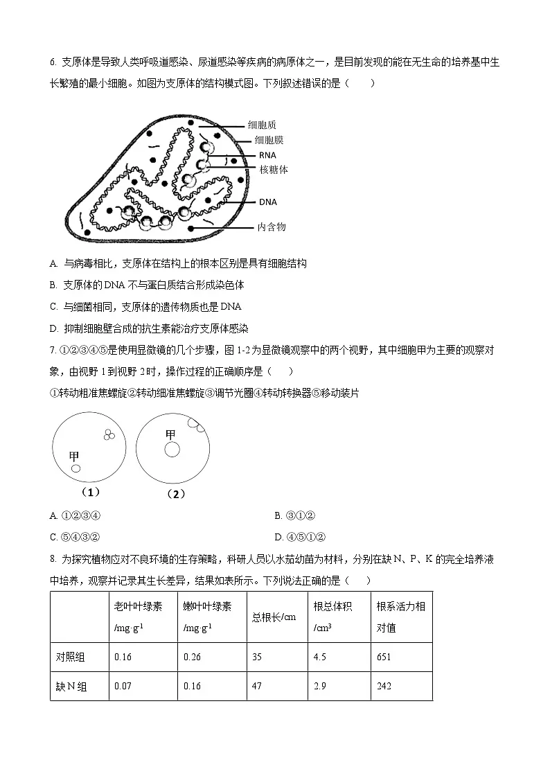 湖北省十堰市茅箭区十堰市郧阳中学2025-2026学年高一上学期9月月考生物试题 Word版无答案第2页
