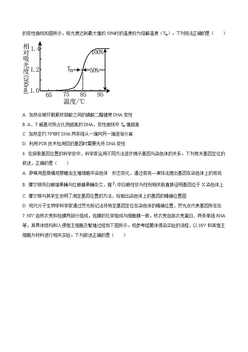 湖北省黄冈中学平行班2025-2026学年高三上学期10月标准考生物试题  Word版无答案第3页