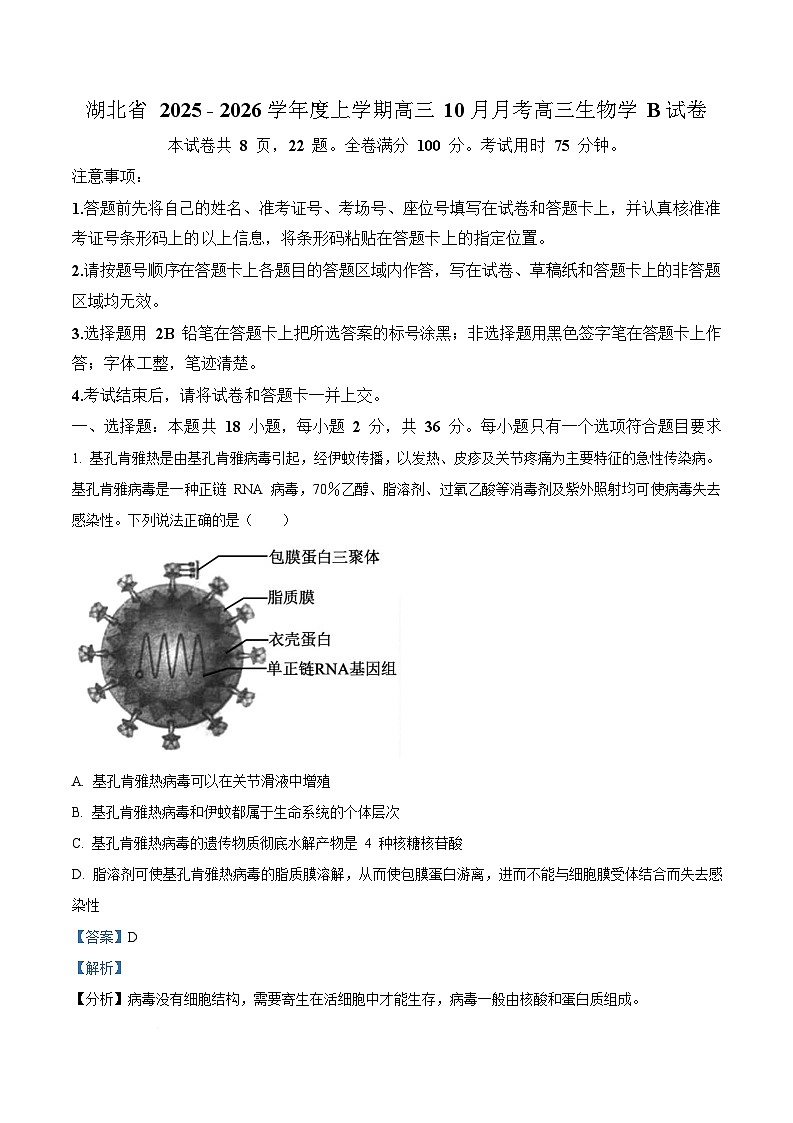 湖北省部分学校2025-2026学年高三上学期10月月考生物试题 Word版含解析第1页