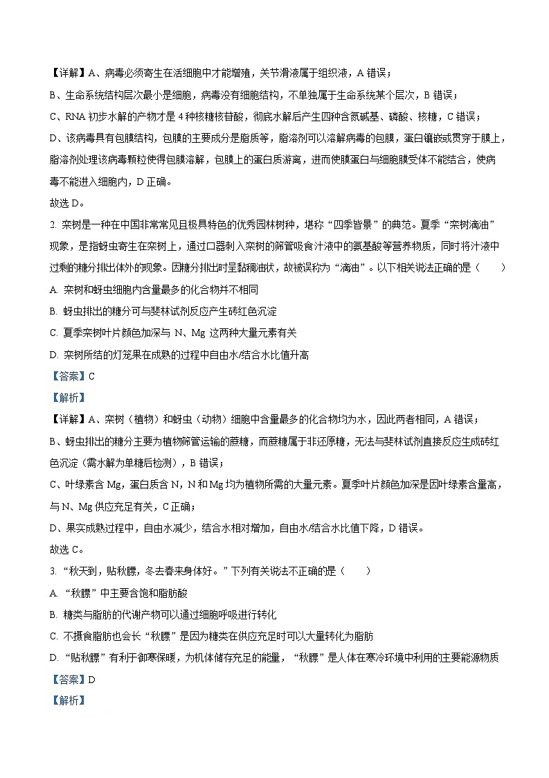 湖北省部分学校2025-2026学年高三上学期10月月考生物试题 Word版含解析第3页