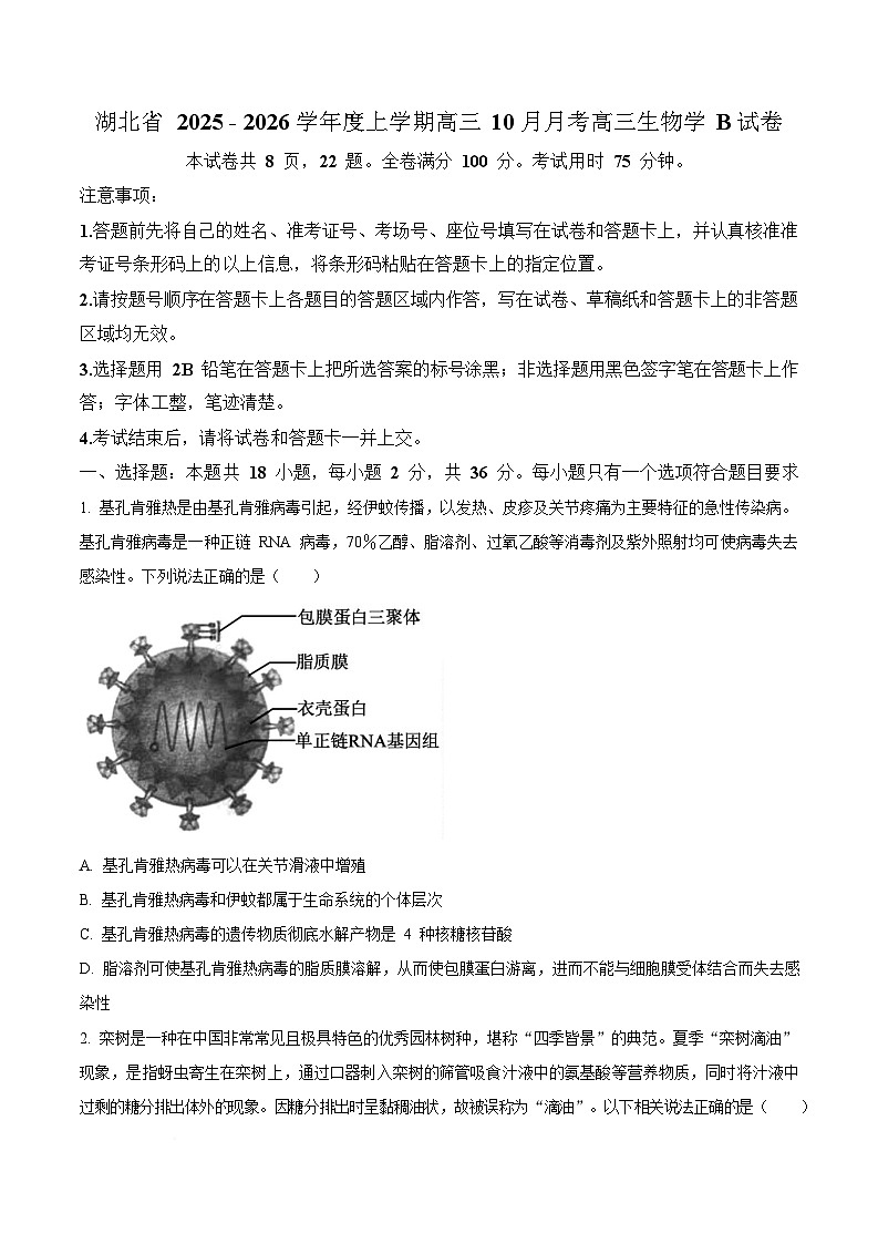 湖北省部分学校2025-2026学年高三上学期10月月考生物试题 Word版无答案第1页