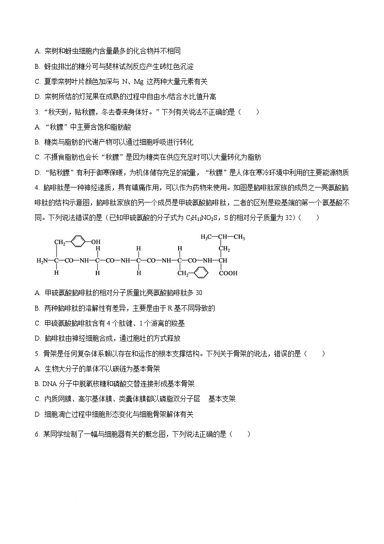 湖北省部分学校2025-2026学年高三上学期10月月考生物试题 Word版无答案第3页