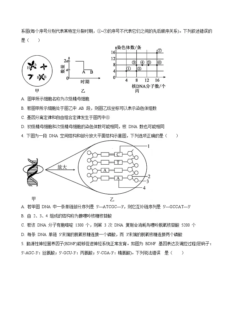 湖北省2025-2026学年高二上学期10月月考生物试题 Word版无答案第3页