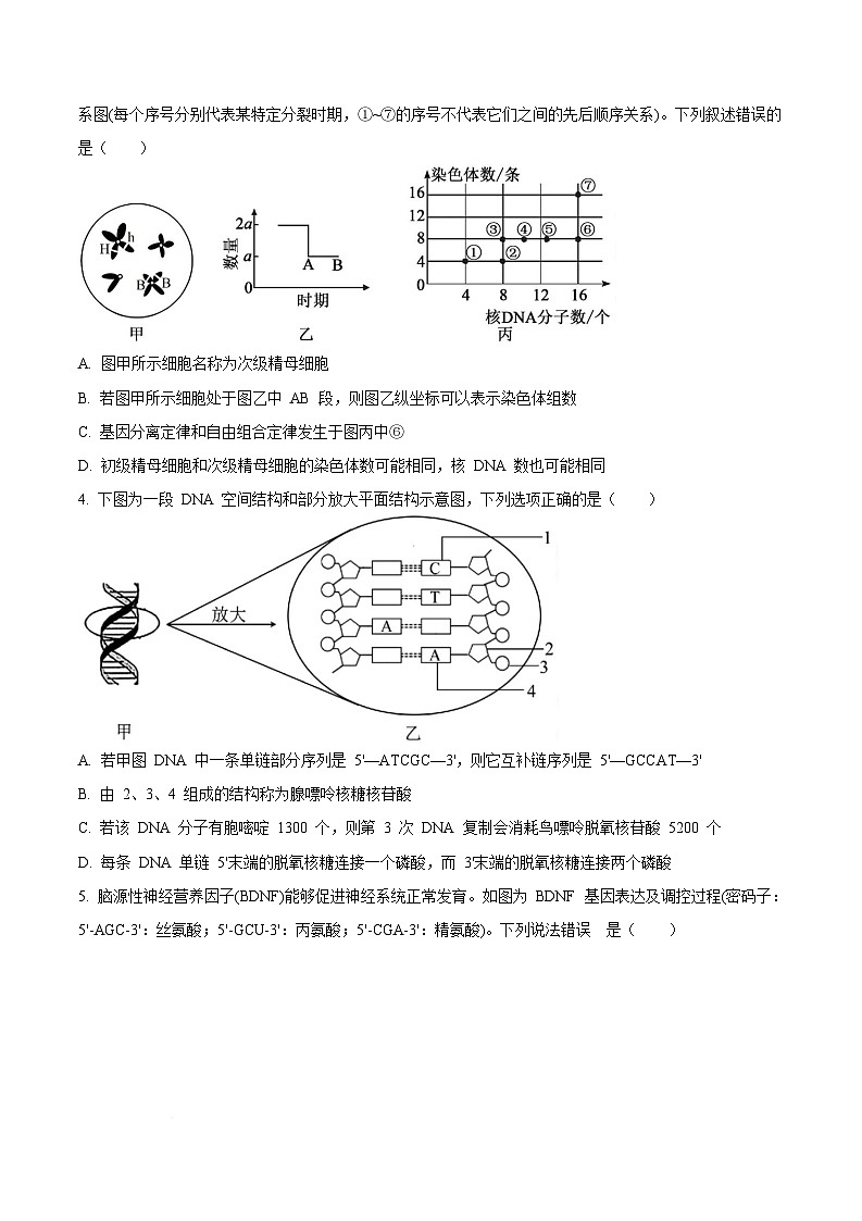 湖北省2025-2026学年高二上学期10月月考生物试题  Word版无答案第3页