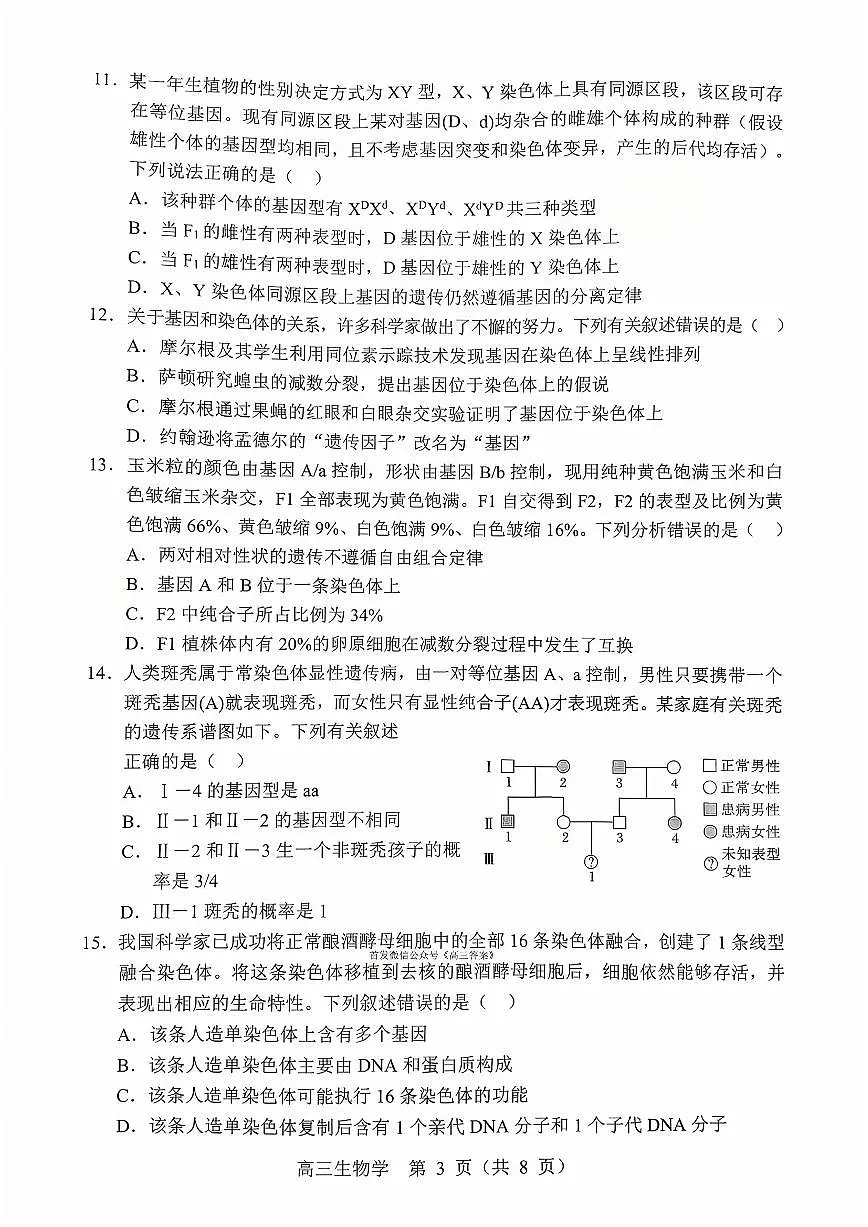 2025年沈阳郊联体高三上学期10月生物试题及答案第3页
