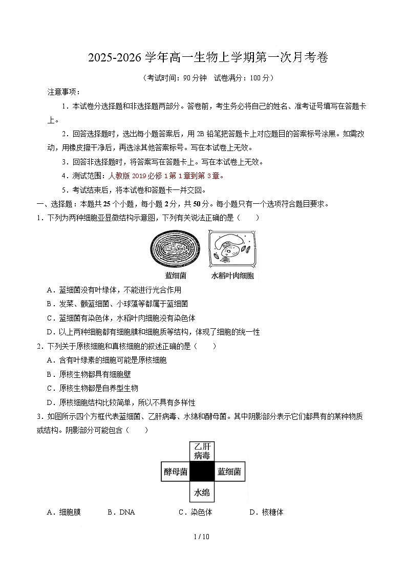 高一生物第一次月考卷【测试范围：人教版2019必修1第1章~第3章】（考试版）第1页
