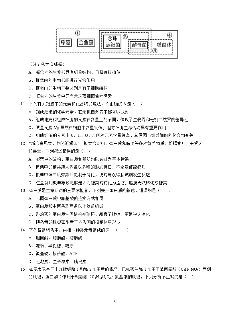高一生物上学期第一次月考【测试范围：必修1第1章~第2章】（考试版）（黑吉辽蒙专用）第3页