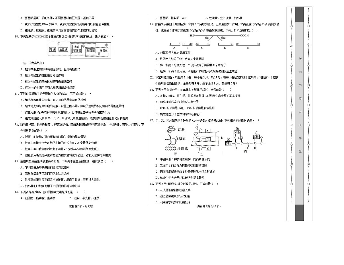 高一生物上学期第一次月考【测试范围：必修1第1章~第2章】（考试版A3）（黑吉辽蒙专用）第2页