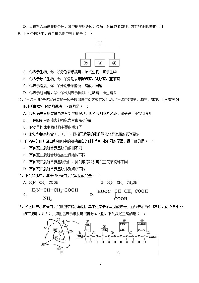 高一生物上学期第一次月考卷（天津专用）（考试版）第3页