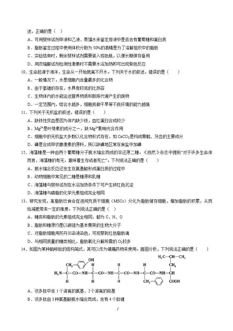 高一生物上学期第一次月考02【测试范围：必修1第1章-第2章第4节】（考试版）（人教版2019）第3页