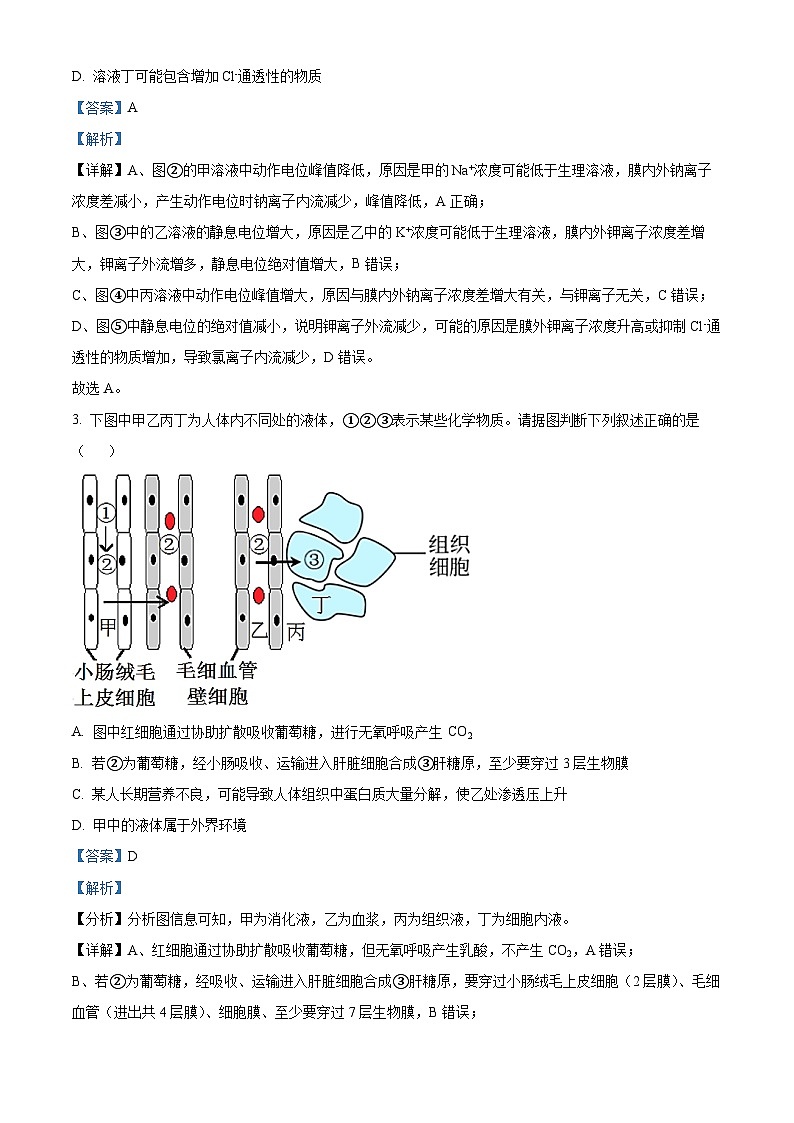 精品解析：河南省南阳市第一中学校2025-2026学年高二上学期9月月考生物试题（解析版）第2页