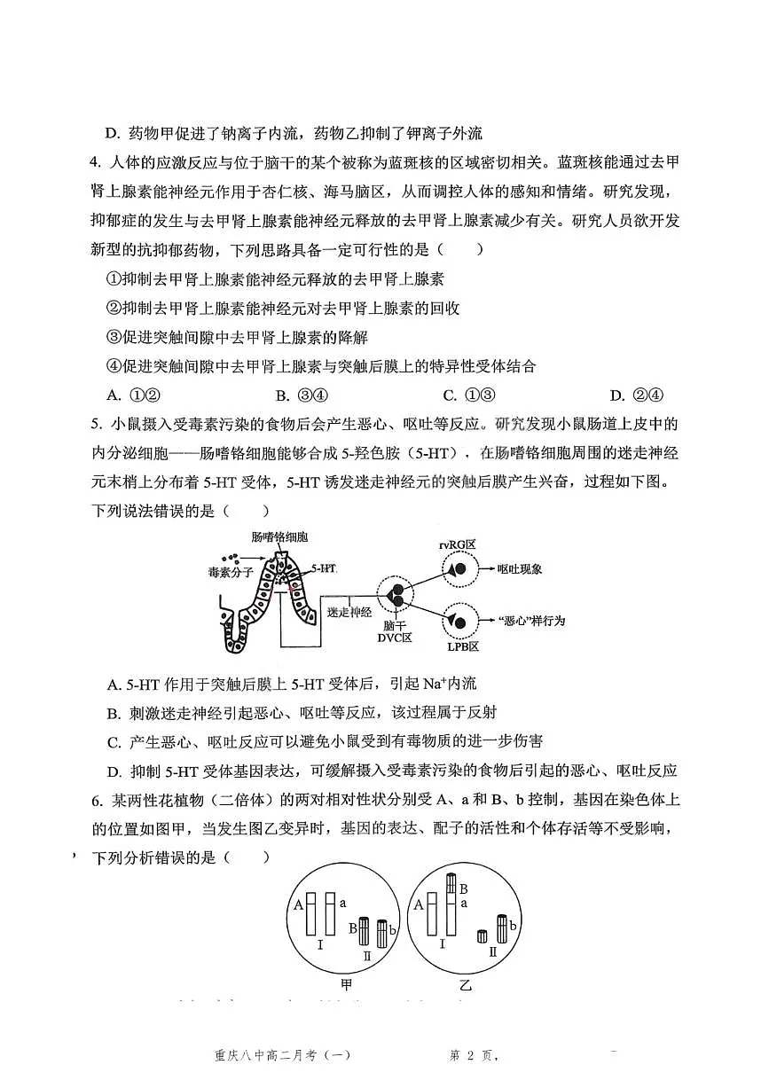 重庆八中高 2027 届高二（上）第一次月考生物试卷（含答案）含答案解析第2页