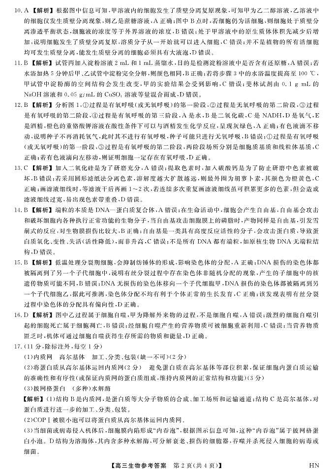 2026届高三华师联盟10月质量检测考试+生物答案第2页