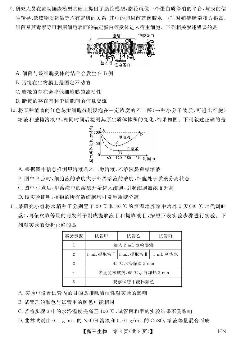 2026届高三华师联盟10月质量检测考试+生物第3页