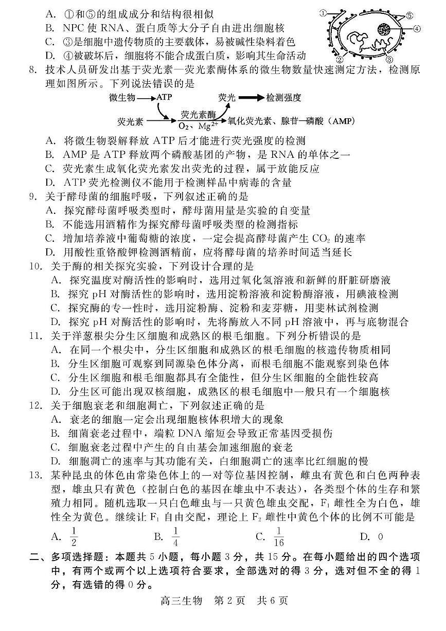 河北省2025-2026学年高三上学期10月联考生物试题（含答案）第2页