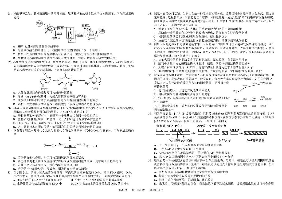 2026成都树德中学高一上学期10月月考试题生物PDF版含答案（可编辑）第3页
