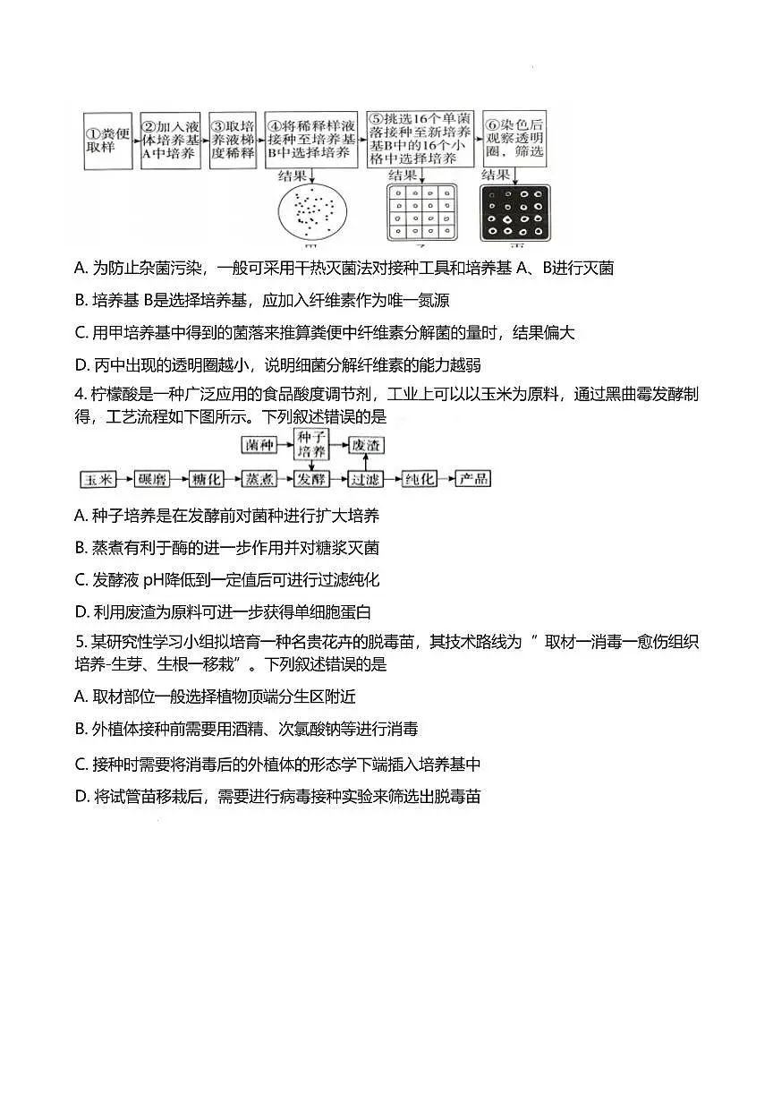 山东省潍坊第一中学2024-2025学年高二下学期第二次质量检测生物试卷（有答案）第2页