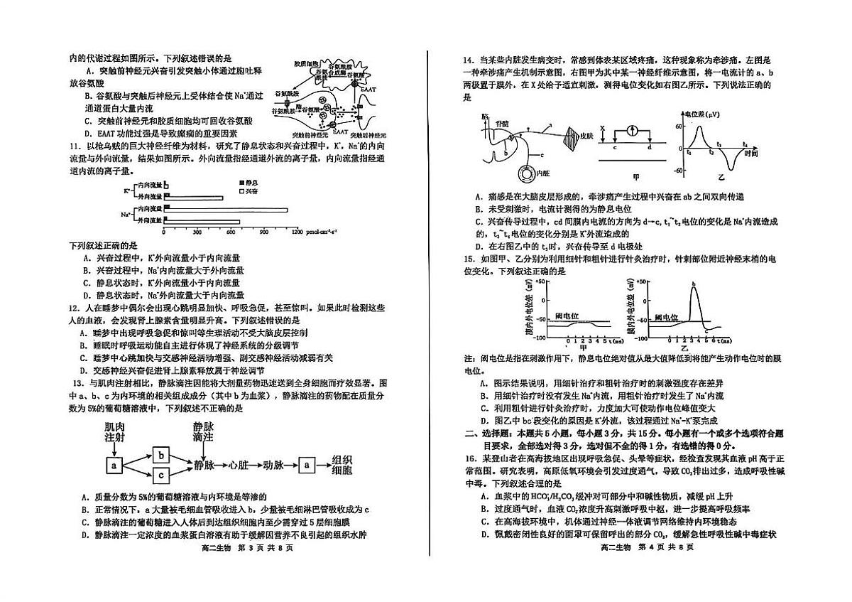 山东省烟台市招远市第二中学2025-2026学年高二上学期10月月考生物试题第2页