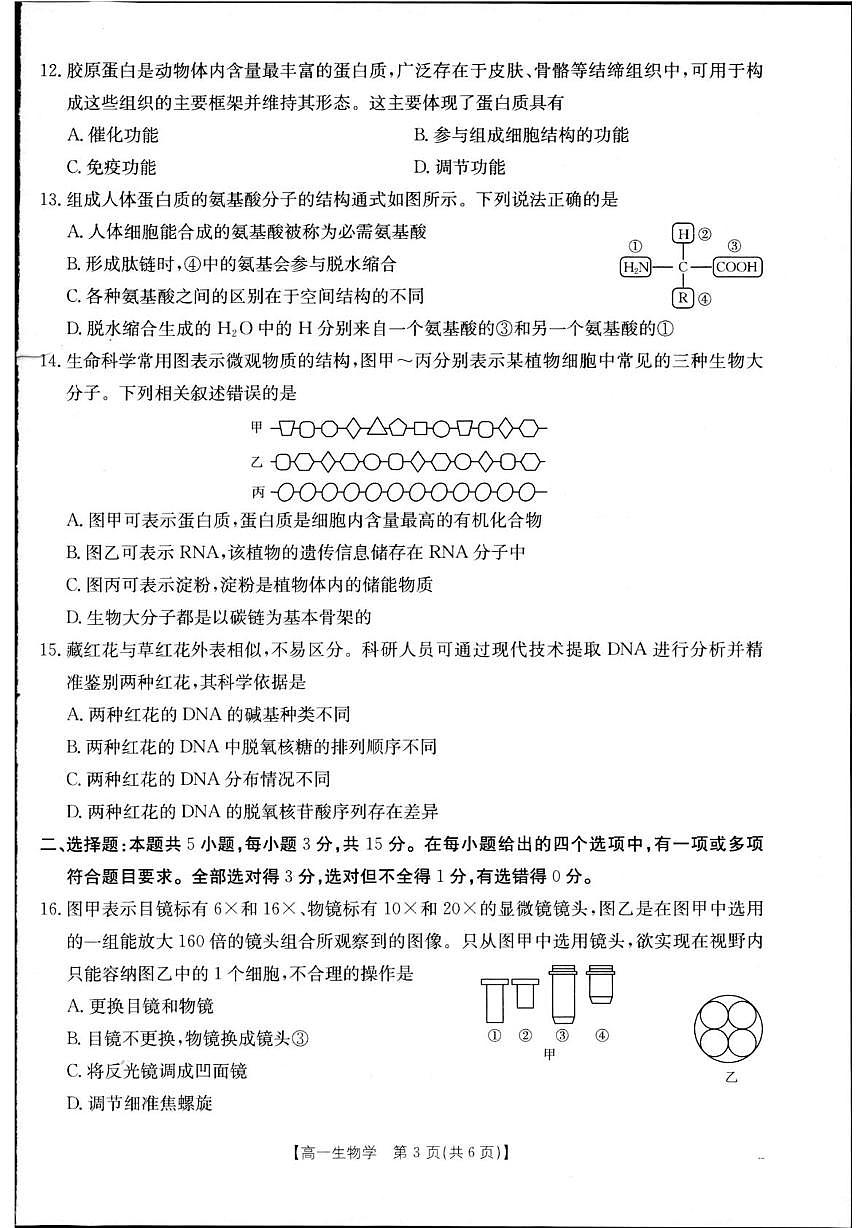 辽宁省抚顺市第一中学2025-2026学年高一上学期第一次月考生物试卷第3页