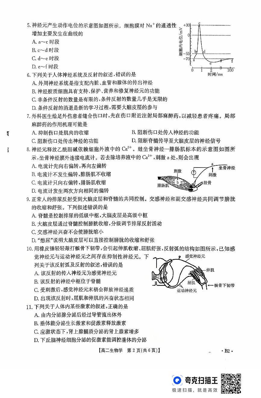 河北省2025-2026学年高二上学期10月月考生物试题第2页