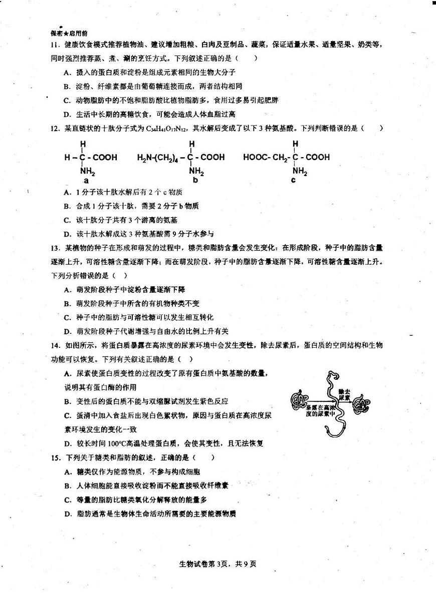 广东省茂名市高州市广东高州中学2025-2026学年高一上学期10月月考生物试卷第3页