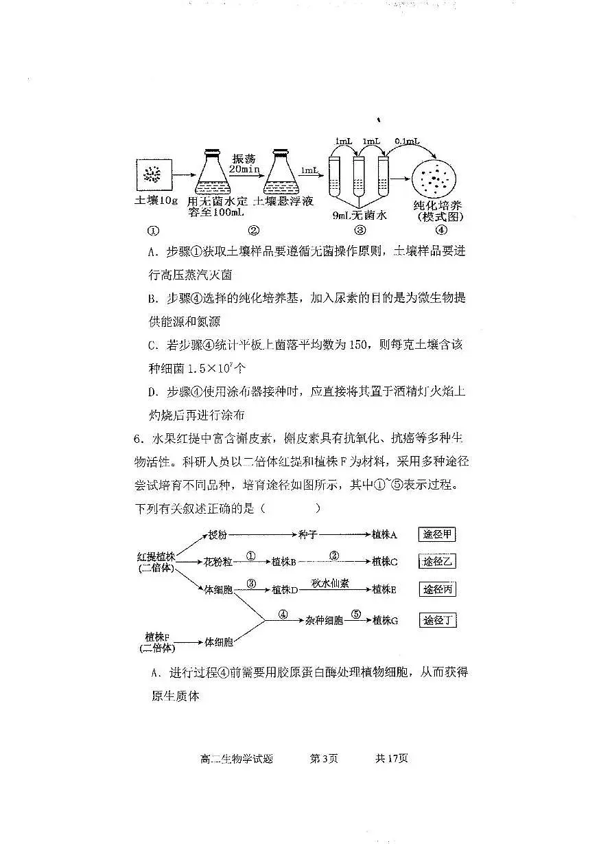 赤峰第四中学2024-2025学年高二下学期5月月考生物试卷第3页
