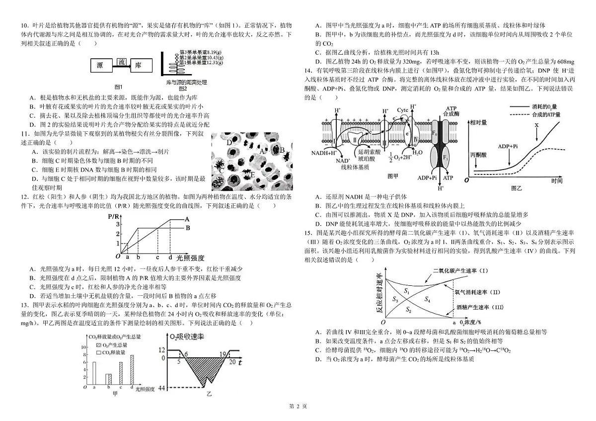 黑龙江省哈尔滨师大附中2026届高三上学期10月月考生物试题+答案第2页
