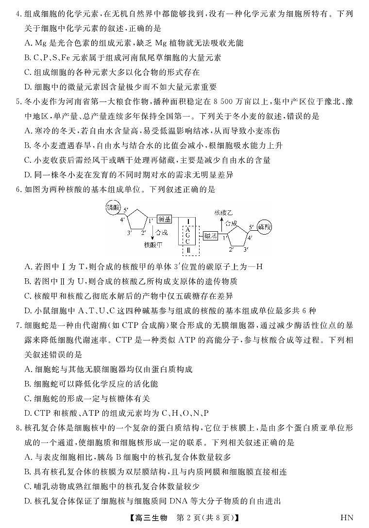 河南省华师联盟2026届高三上学期10月联考生物试卷+答案第2页