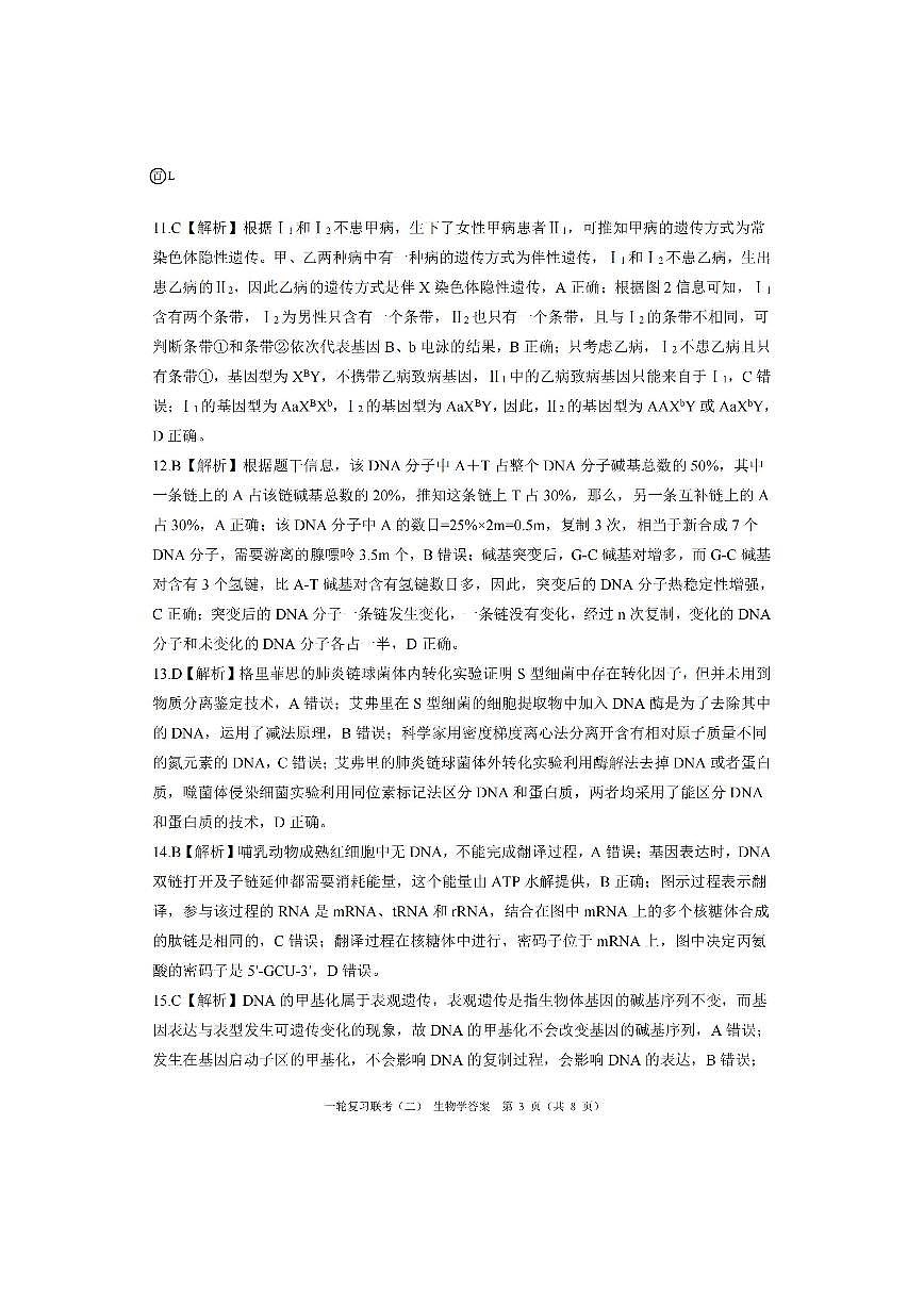 生物答案第3页