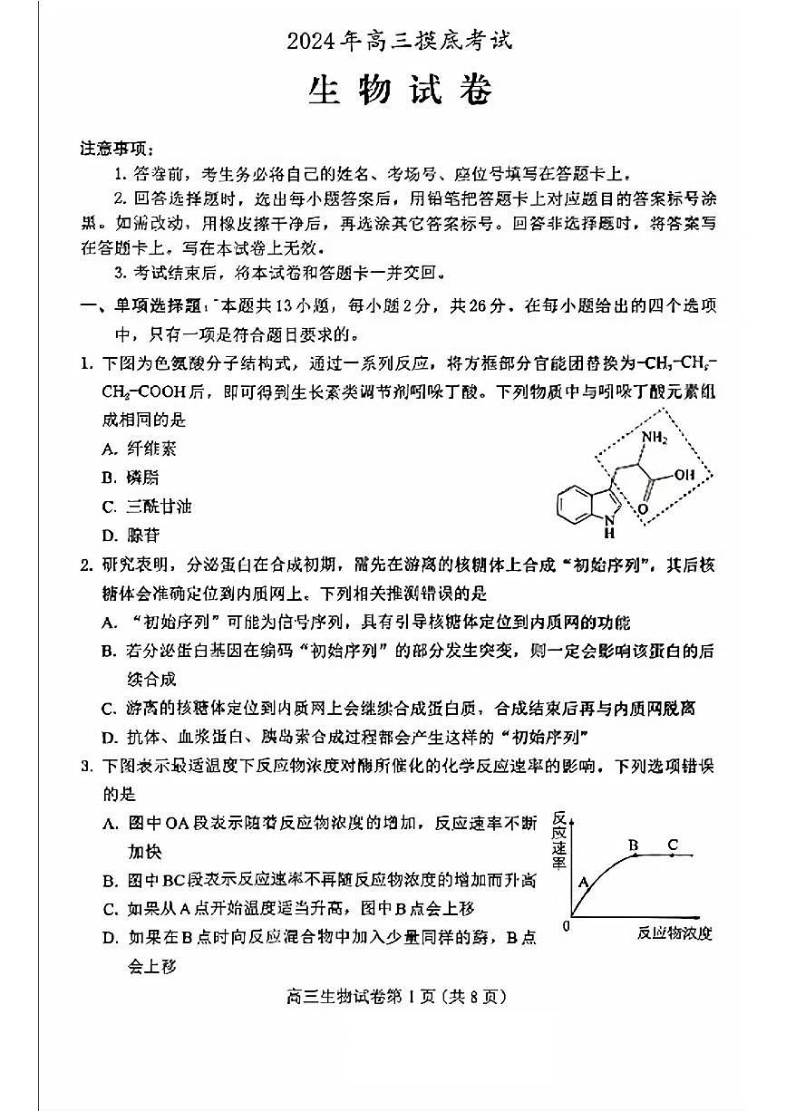 2024年保定高三上学期10月生物试题及答案第1页