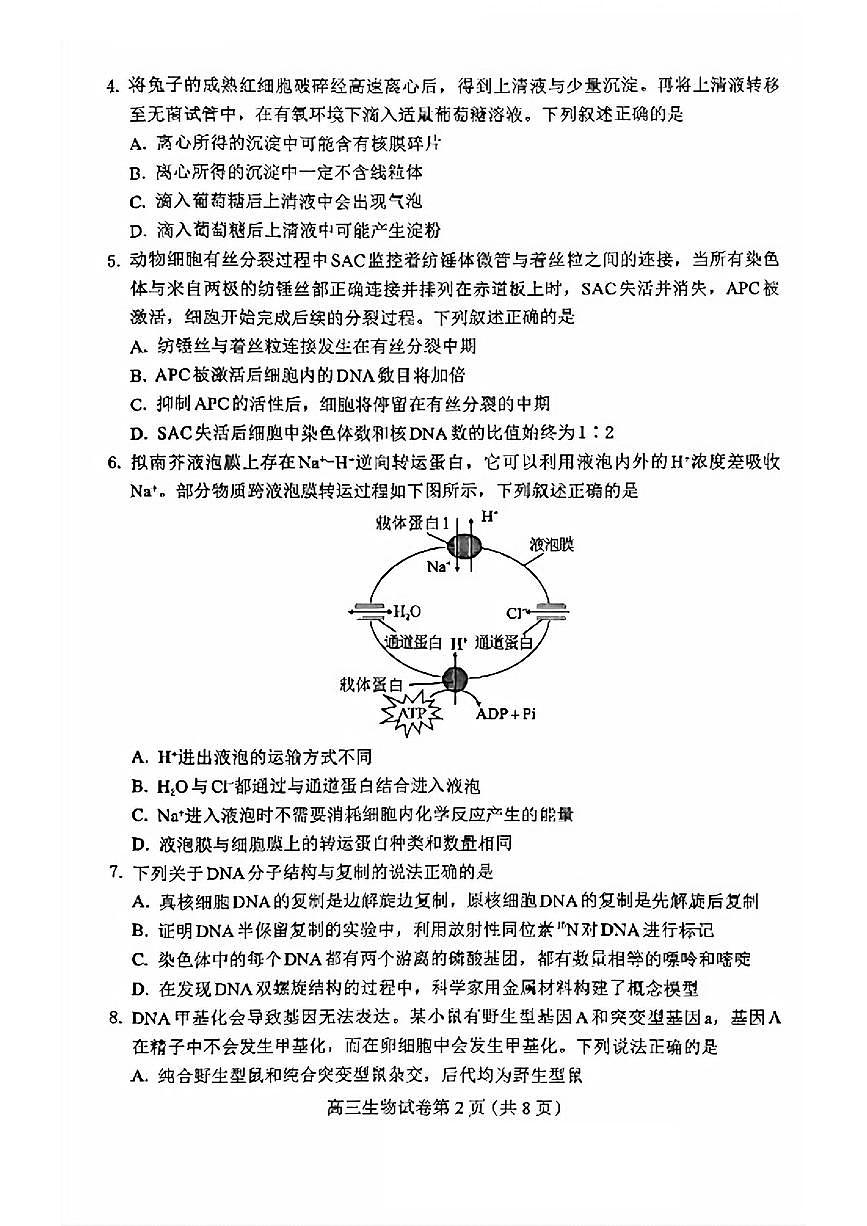 2024年保定高三上学期10月生物试题及答案第2页