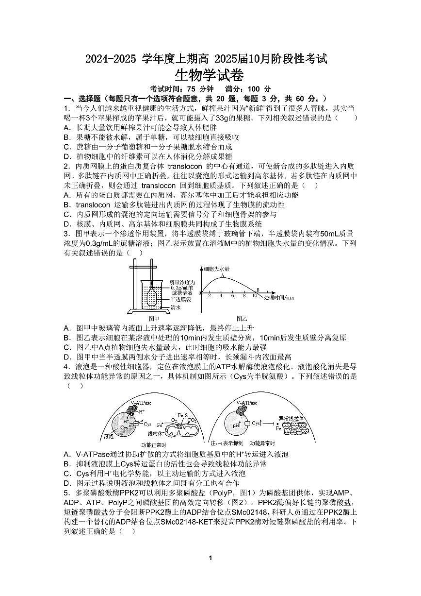 四川省成都市第七中学高2025届10月阶段性测试+生物第1页