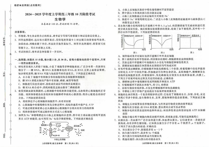 （生物试卷）辽宁省点石联考2024-2025学年度上学期高三年级10月阶段考试 生物试卷第1页